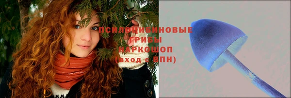 a pvp Волосово