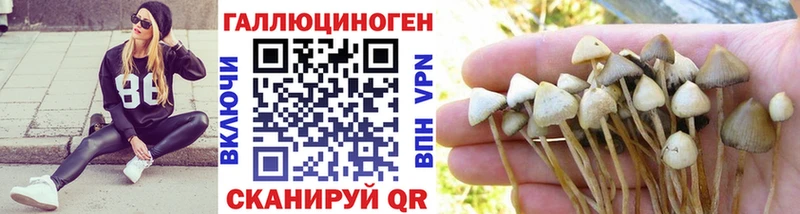 где продают наркотики  Крым  Галлюциногенные грибы мухоморы 